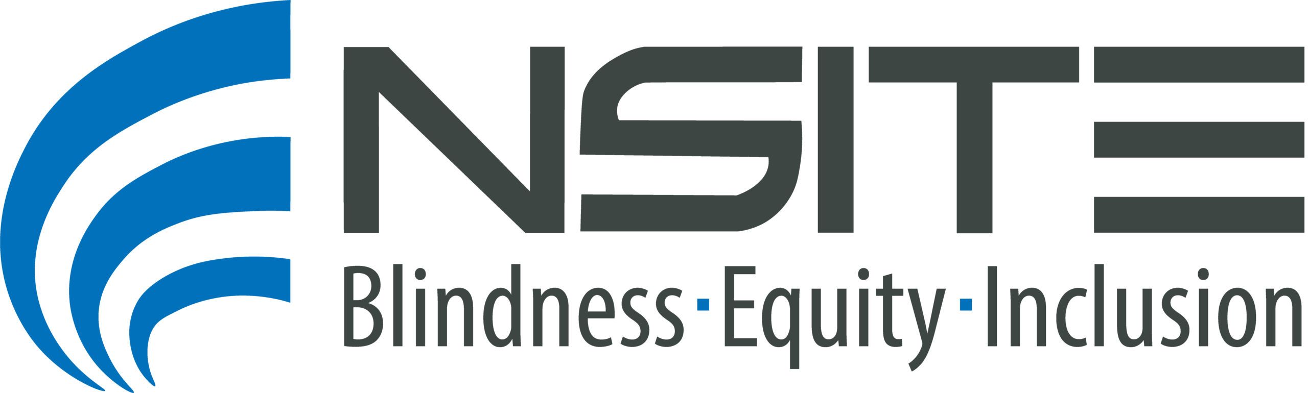 NSITE logo with Blindness Equity Inclusion underneath